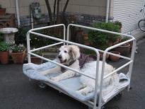 犬用台車